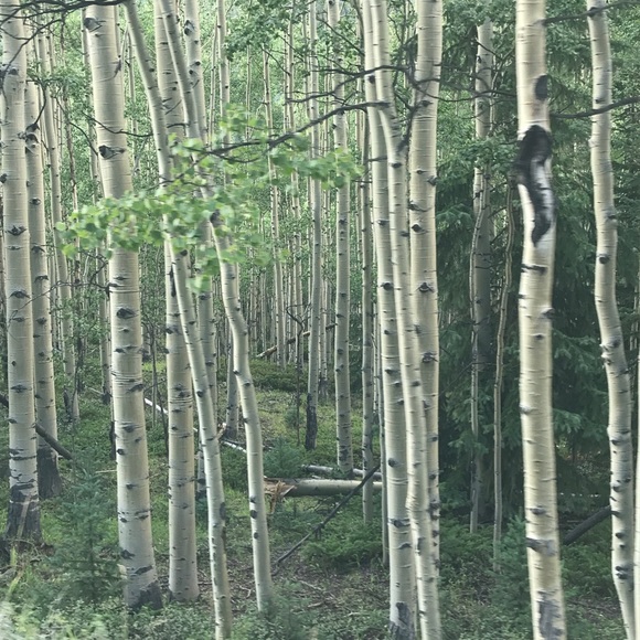 Meet your Posher, Posh - Picture 5 of 9